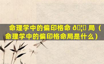 命理学中的偏印格命 🦁 局（命理学中的偏印格命局是什么）